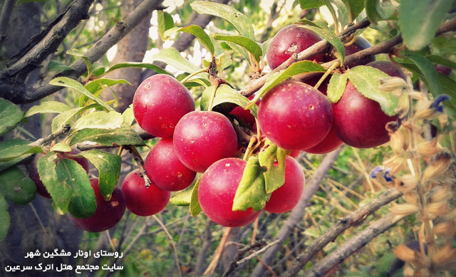 روستای اونار مشکین شهر